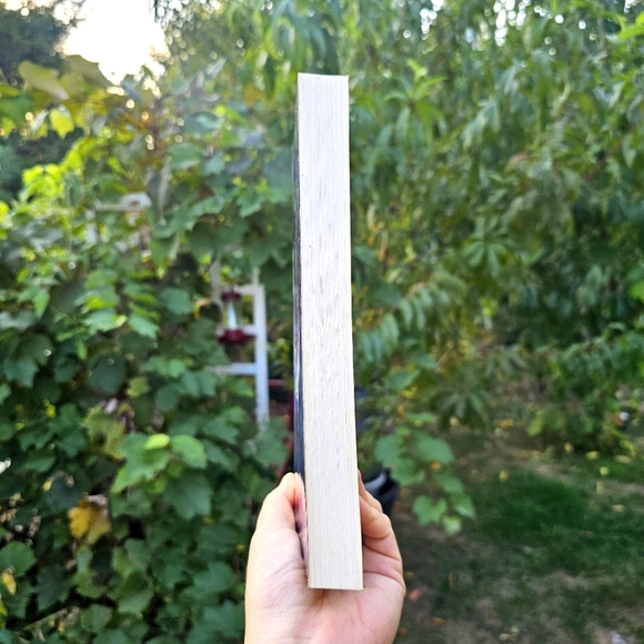 An Old Man's Toy: Gravity at Work and Play in Einstein's Universe, A. Zee 1989 - Picture 6 of 8